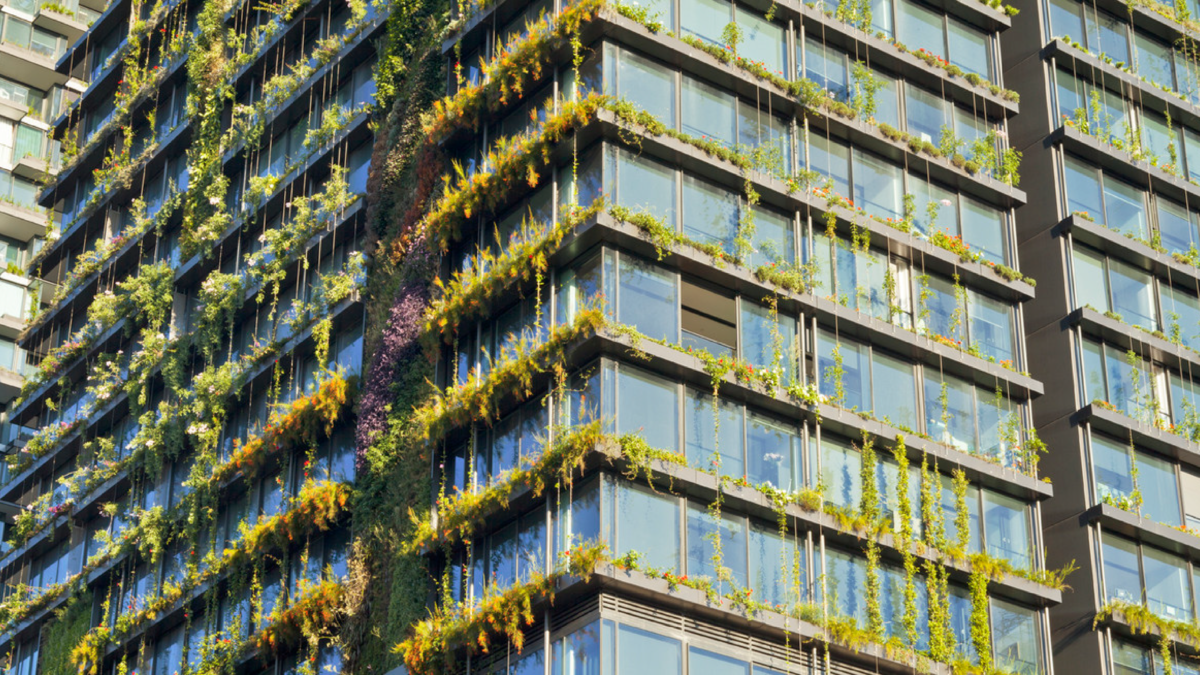 The Evolution Of LEED: Transforming Architecture Through Sustainable ...